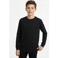 Name It Langarmshirt NKMVOBBO LS NREG TOP NOOS
