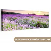 OneMillionCanvasses® Leinwandbild Panorama Lavendel - Blumen - Sonnenuntergang - Lila - Wiese, Fotodruck (1 St), Wandbild, Deko Schlafzimmer Wohnzimmer Flur 60x20 cm