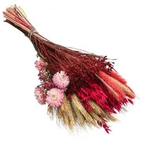 Trockenblume Blumenstrauß Trendy aus Gräsern und Blumen, Länge 40 cm, rosa Keine Angabe, Dehner, handgefertigtes, farblich abgestimmtes Bouquet, auch für DIY-Projekte