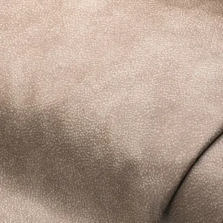Kunstleder "Taurus" in Antik-Optik, beige