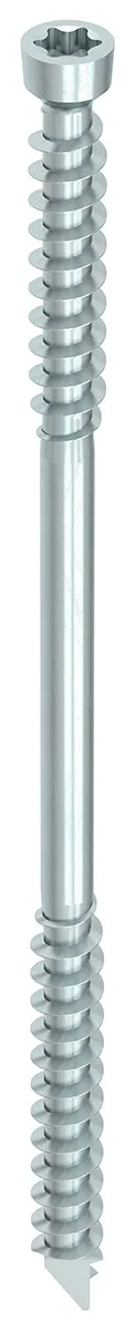 HECO WT-T, Zylindersenkkopf, T-Drive, 6,5mm, 100 Stück - 53392
