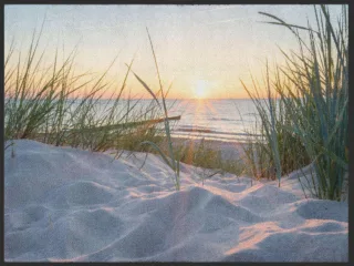 Fussmatte Sylt 4943 | Größe: 60 cm x 45 cm