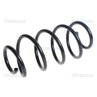Triscan Feder vorne Ford Mondeo 5 2,0 875016146