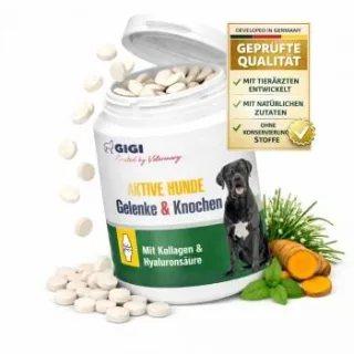 GIGI VET Aktive Hunde Gelenke & Knochen 240 Stück