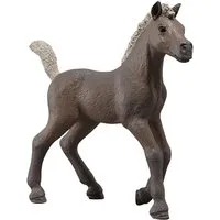 Schleich® Spielfigur HORSE CLUB, Sammelfohlen Darcy (81460), inklusive Sammelposter