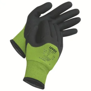 uvex unilite thermo plus cut c Kälteschutz- und Schnittschutzhandschuh  grün/schwarz 7 - 6059107
