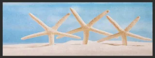 Küchenteppich 4381 | Größe: 75 cm x 120 cm