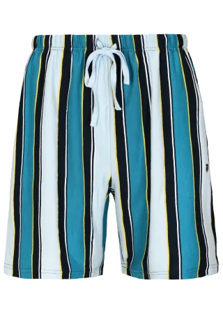 BASEFIELD - He.-Shorts light blue stripe - Gr. - XXL
