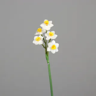 Weiß