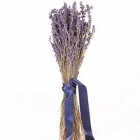 Trockenblume Echter Lavendel getrocknet Lavendelstrauß Deko Lavendelbund Ernte 2025 Lavendel, ROSEMARIE SCHULZ Heidelberg, Höhe 35 cm, französischer Lavendel aus der Provence auch für Lavendelsäckchen