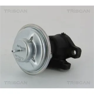 Triscan AGR-Ventil Citroen Fiat Peugeot 881328011