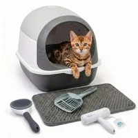 LINUMA Katzentoilette Katzenklo mit Deckel, Streumatte und Schaufel abnehmbar auch offen, Katzenklo auch offen nutzbar inkl. Katzenstreumatte und Schaufel