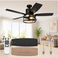 Rosnek Deckenventilator mit Licht, 112 cm, Fernbedienung, leiser DC-Motor & 6 Stufen, Timer, Wendeflügel, Winter-Sommer-Modus für Schlaf- & Wohnzimmer