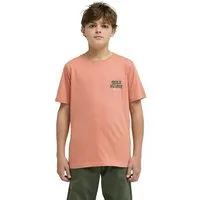Quiksilver T-Shirt Fruits Tide
