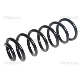 Triscan Feder vorne Mercedes C-Klasse W205 875023205