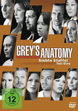 Grey's Anatomy: Die jungen Ärzte - Siebte Staffel Teil Eins [3 DVDs]