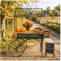 HTI-Living Gartenfigur Marktwagen Verena, (1 Stück, 1 Wagen ohne Dekoration), Metallwagen auf Rädern