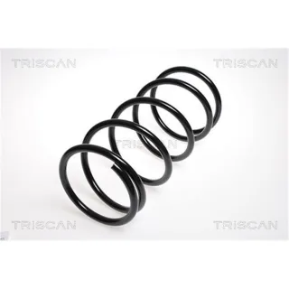 Triscan Feder vorne Mitsubishi Carisma Space