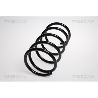 Triscan Feder vorne Hyundai Tucson Kia Sportage