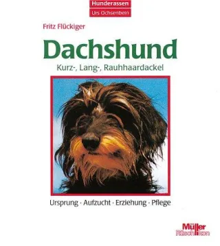 Dachshund