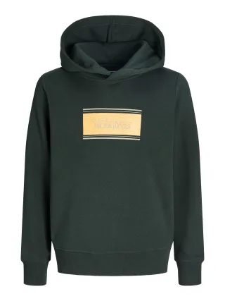 JACK&JONES - JJBUSTER SWEAT HOOD BTS SN JNR Scarab - Gr. - 152