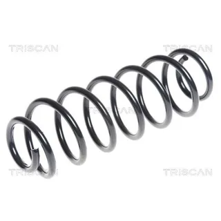 Triscan Feder hinten Seat Ibiza VW Polo 875029302