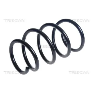 Triscan Feder vorne Renault Twingo Wind