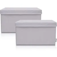 Lifeney Faltbox Aufbewahrungsbox, Hellgrau, groß, 2er Set