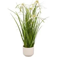 Kunstgras Grasbusch Sternsegge, Creativ green, Höhe 45 cm, mit Blüten