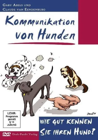 Kommunikation von Hunden: Wie gut kennen Sie ihren Hund?