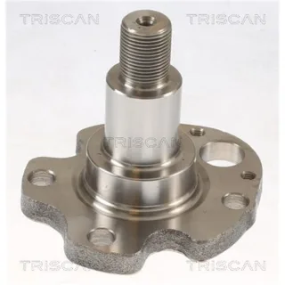 Triscan Radnabe Hinten Audi Seat Skoda VW 853529014