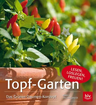 Topf-Garten: Das Grüner-Daumen-Konzept [Gebundene Ausgabe] [2015] Faschingbauer Bärbel
