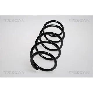 Triscan Feder vorne Renault Grand Sc?nic 87502563