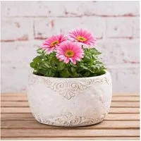 AltoBelli Blumentopf AltoBelli Blumentopf ADELINA Schale Zement Antik Grau Patina 17x8 cm