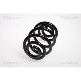 Triscan Feder hinten BMW Z4 87501194