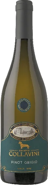 Collavini Eugenio Villa Canlungo Pinot Grigio Collio DOC Jg. 2023
