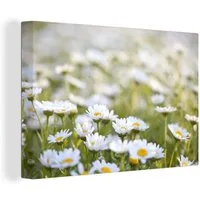 OneMillionCanvasses® Leinwandbild Gänseblümchen auf einer Wiese, Fotodruck (1 St), Leinwand Bilder Klein, Wand Dekoration Aesthetic 30x20 cm