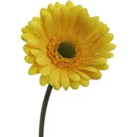 Kunstblume Kunstblume GERBERA 50cm, Gasper, Höhe 50.00 cm