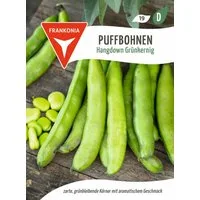 FRANKONIA Gemüsesamen Puffbohne, Hangdown Grünkernig - Bohnen-Samen Saatgut Samen, Vicia faba