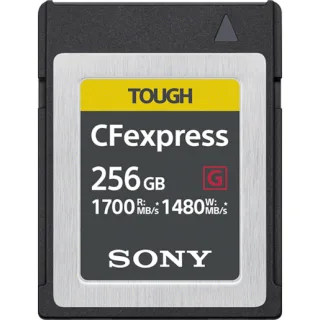 Sony CEB-G256 | cebg256 | 256 GB - PC-Karte