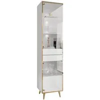 Lookway Glasvitrine AURORA mit LED-Beleuchtung Breite: 45 cm