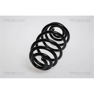 Triscan Feder hinten Opel Zafira 875024141