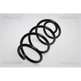 Triscan Feder vorne Mercedes Vito 87502397