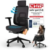 Ergotopia Bürostuhl PureBack ergonomischer Schreibtischstuhl
