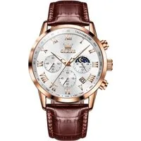 OLEVS Quarzuhr Herrenuhr Olevs Chronograph Tag & Nacht Anzeige – Braunleder-Armband