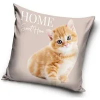 Wisam Kissenbezug Katze Home Kissenbezug 40x40 cm Velours