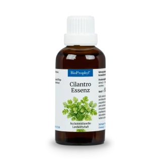 Cilantro Essenz