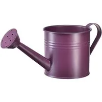 Florists Products Gießkanne Vintage Deko Gießkanne Metall für Blumen und Pflanzen