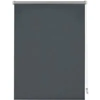 Seitenzugrollo Thermo Klemmrollo Energiesparend, GARDINIA, ohne Bohren, freihängend, Klemmfix, abdunkelnd mit Thermobeschichtung