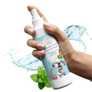 Hand aufs Pferd/Hund Zahnpflege Kräuter Spray – für Hunde 200ml